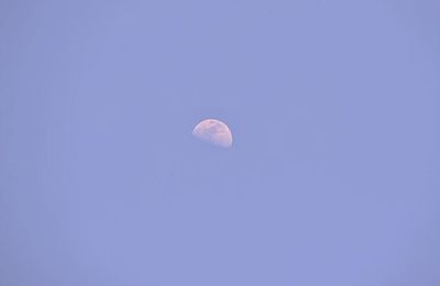 Low angle view of moon against clear blue sky