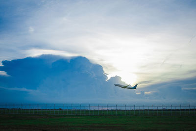 Seagull flying over sea against sky