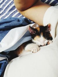 High angle view of cat sleeping on bed