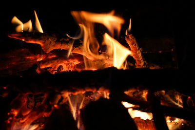 Close-up of bonfire at night