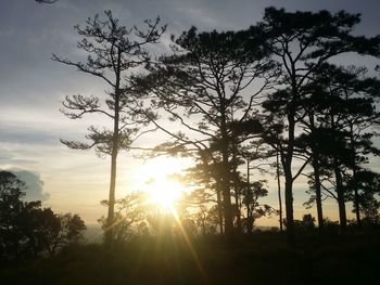 Silhouette trees against sky during sunset