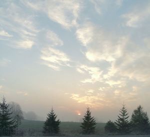 Silhouette trees against sky during sunset