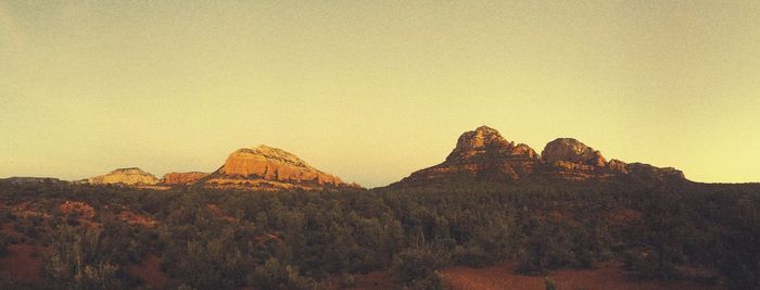 Panoramic view of trees against sky