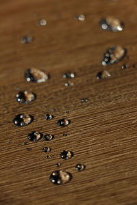 Close-up of wooden plank