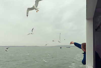 Seagull flying over sea against sky