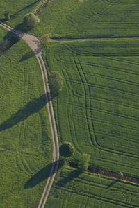 High angle view of agricultural field