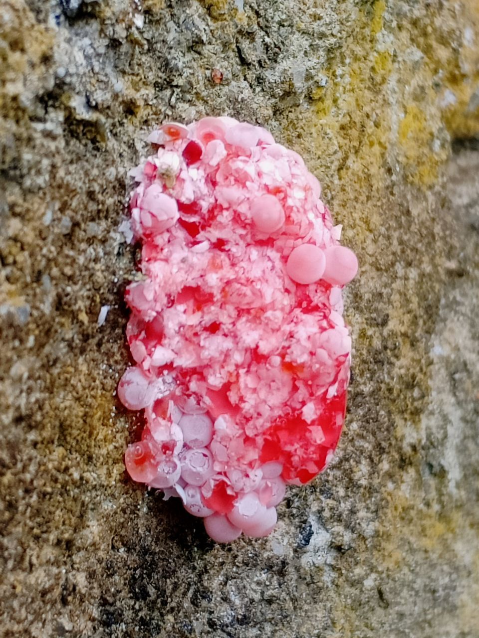 HIGH ANGLE VIEW OF PINK ICE CREAM CONE ON GROUND