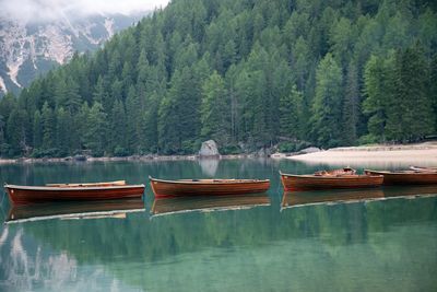 Boats moored on lake against trees