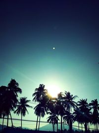 Low angle view of silhouette trees against sky