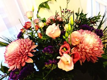 Close-up of flowers