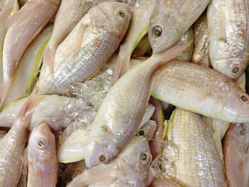 Close-up of fish for sale in market