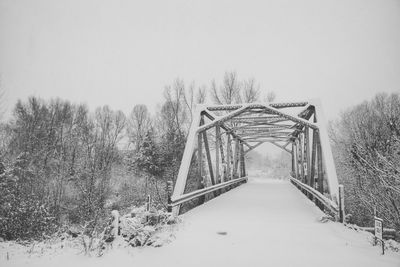 Bare trees by bridge