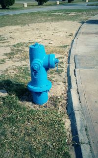 Blue fire hydrant in park