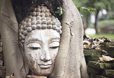 Close-up of buddha statue against trees