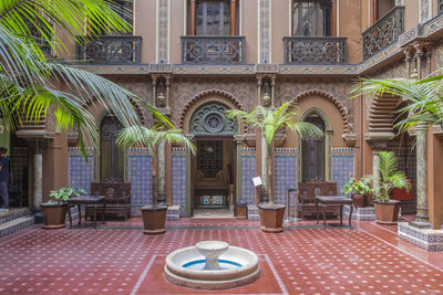 Potted plants on table against building