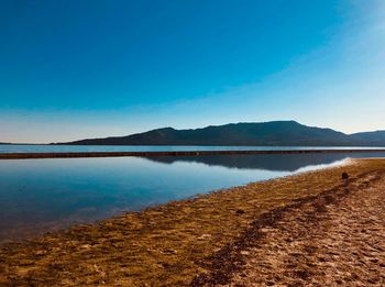 Scenic view of lake against clear blue sky