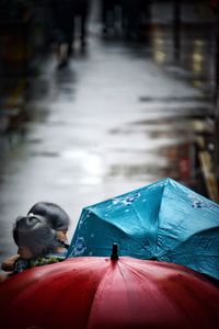 View of bird on wet car