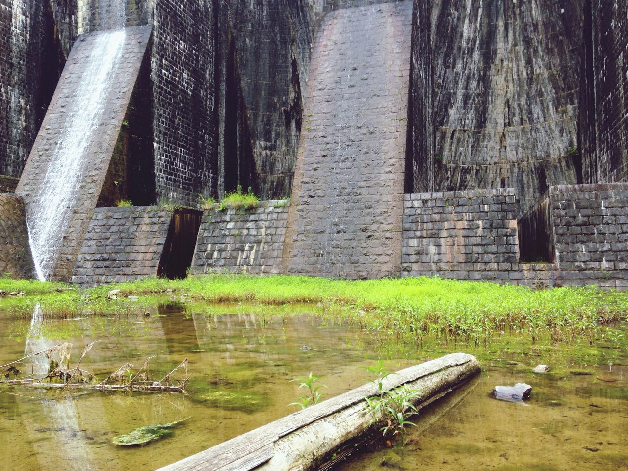 豊稔池遊水公園