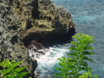 High angle view of rock by sea