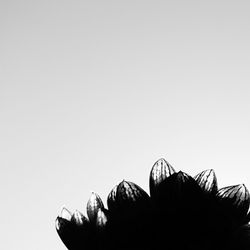 Low angle view of tree against sky