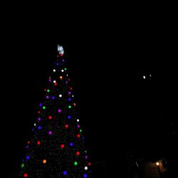 Low angle view of illuminated christmas tree against sky at night