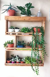 Wood shelf garden project