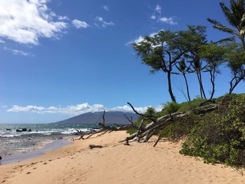 Scenic view of beach against sky