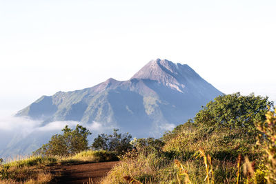 mountain