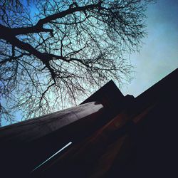 Low angle view of bare trees against sky