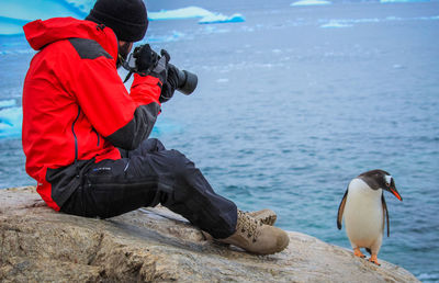 Man photographing penguin