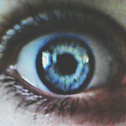 human eye