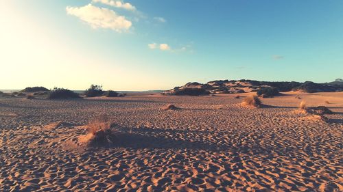 Surface level of barren land against sky