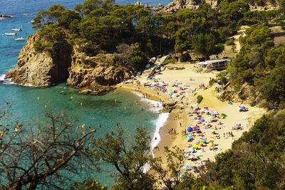 High angle view of sea by trees