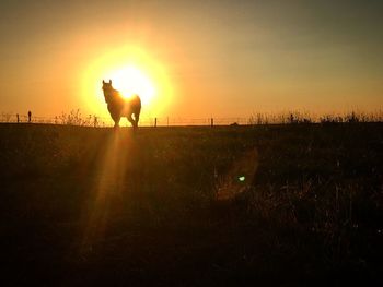 Silhouette man on field against sky during sunset