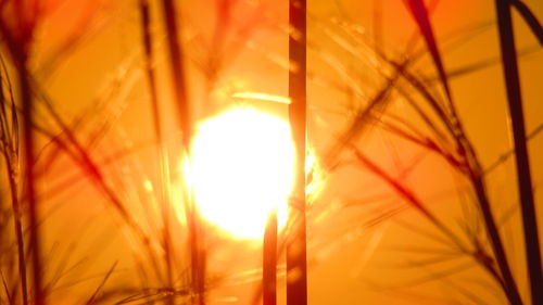 Close-up of sun shining through clouds