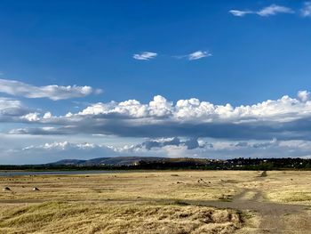 Scenic view of agricultural field against sky