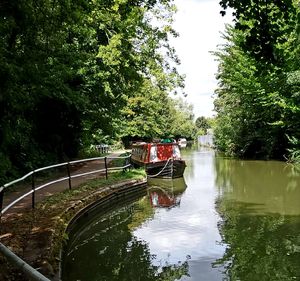 View of canal along trees