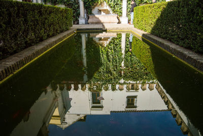 High angle view of swimming pool by building