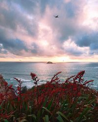 Scenic view of sea against cloudy sky