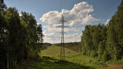 Low angle view of trees on field against sky