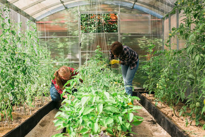 Rear view of woman standing amidst plants