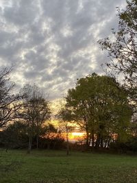 Silhouette trees on field against sky at sunset