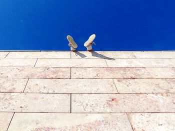 Low angle view of seagulls perching on wall