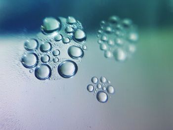 Close-up of water drops on leaf