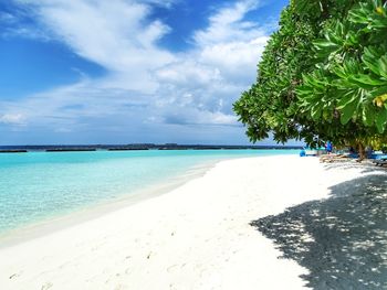 Scenic view of beach against sky