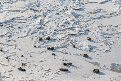 Full frame shot of snow on sand