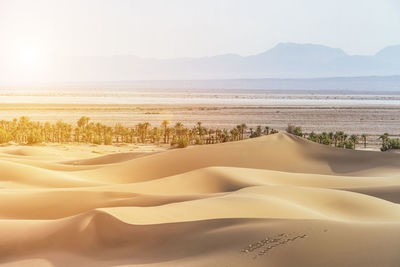 Scenic view of desert against sky
