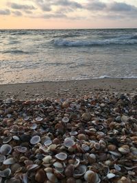 Surface level of pebbles on beach against sky