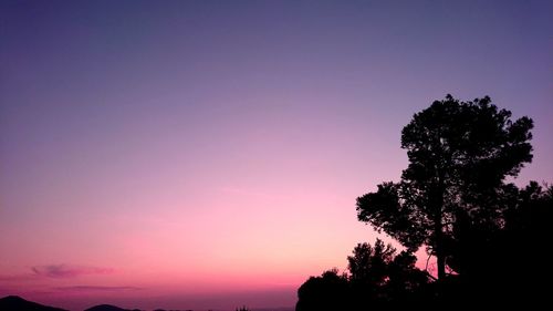 Low angle view of silhouette trees against sky during sunset