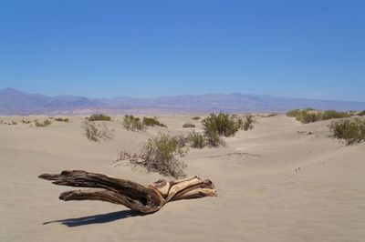 Scenic view of desert against clear sky, death valley